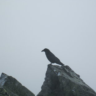 3.diena - Rysy 2499m