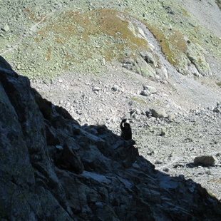 4.diena - kāpiens pa stāvāko un garāko Tatru trekinga trases posmu uz Priečne sedlo