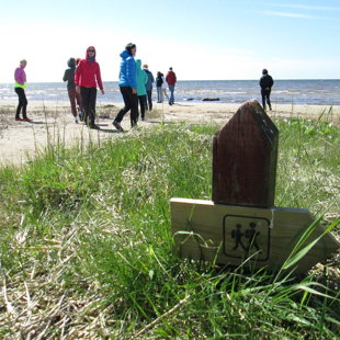 Mājup devāmies pa veco Rīga-Pērnava ceļu, kas ved gar jūru