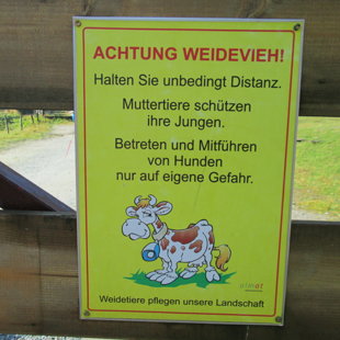 3.diena - noteikumi Sportgasteinā