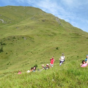 5. diena - pļavās pa ceļam uz Gamskarkogel 2467 m