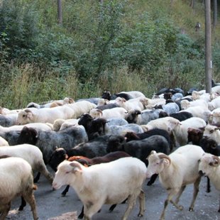 3.diena - Kiry Košcielinska ieleja