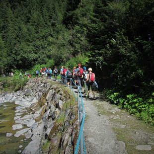 2. diena - lejā pa Lirisko taku, kur instalācijas par slaveniem mūziķiem