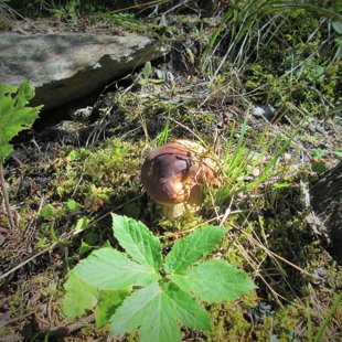 2. diena - arī šeit baravikas!