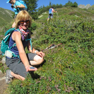 5. diena - dodamies uz Madleinsee 2437 m - pa ceļam riktīgi pārēdamies zilenes