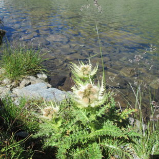 5. diena - Madleinsee 2437 m