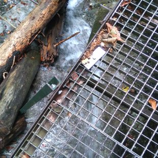 3.diena - Slovenskij raj