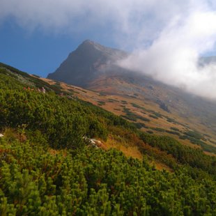 4.diena - virsotne Krivan 2495m