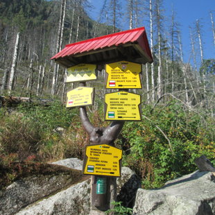 5.diena - dodamies uz Teryho chata