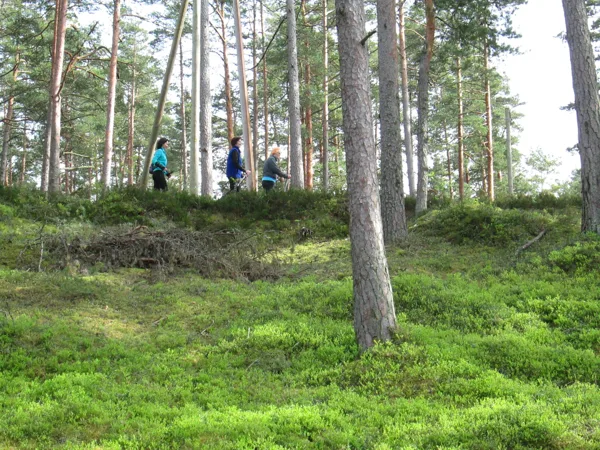 3. treniņš - 6,5 km