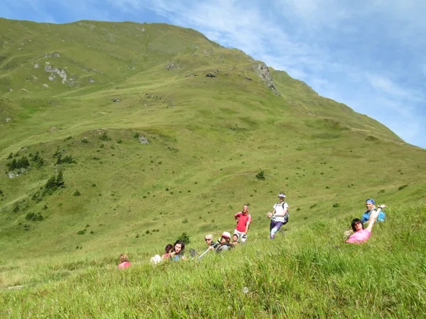 5. diena - pļavās pa ceļam uz Gamskarkogel 2467 m