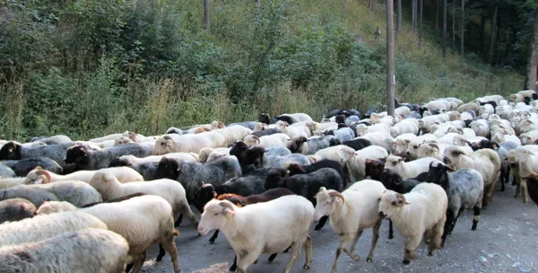 3.diena - Kiry Košcielinska ieleja
