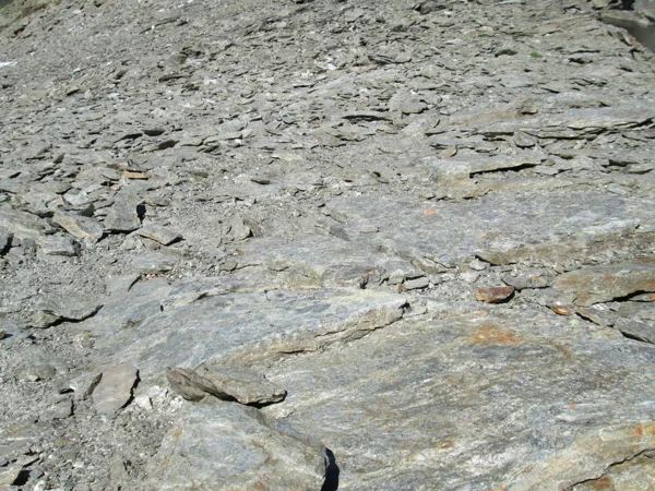 4. diena - Hoher Riffler 3168 m