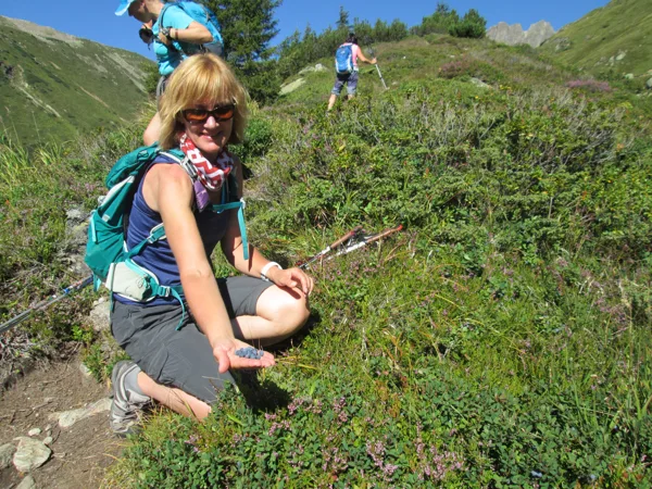 5. diena - dodamies uz Madleinsee 2437 m - pa ceļam riktīgi pārēdamies zilenes