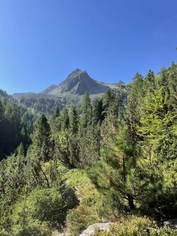 Hoher Tauern 2459m